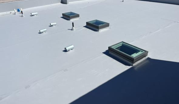 TPO Roof and Velux Skylights in TNAH 2024